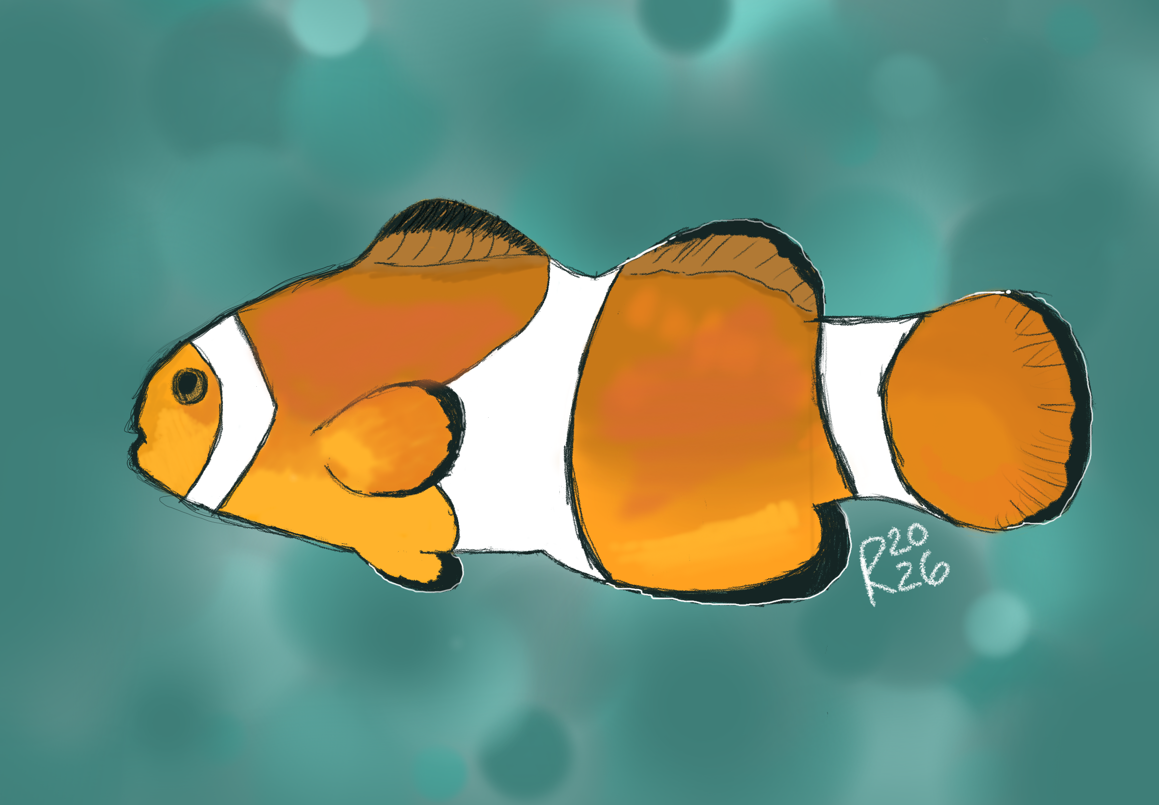 Clownfish Drawing