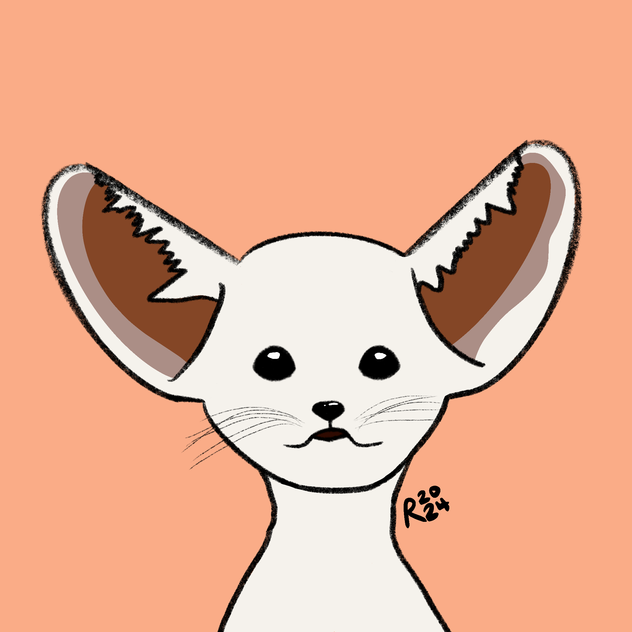 Fennec Fox Drawing