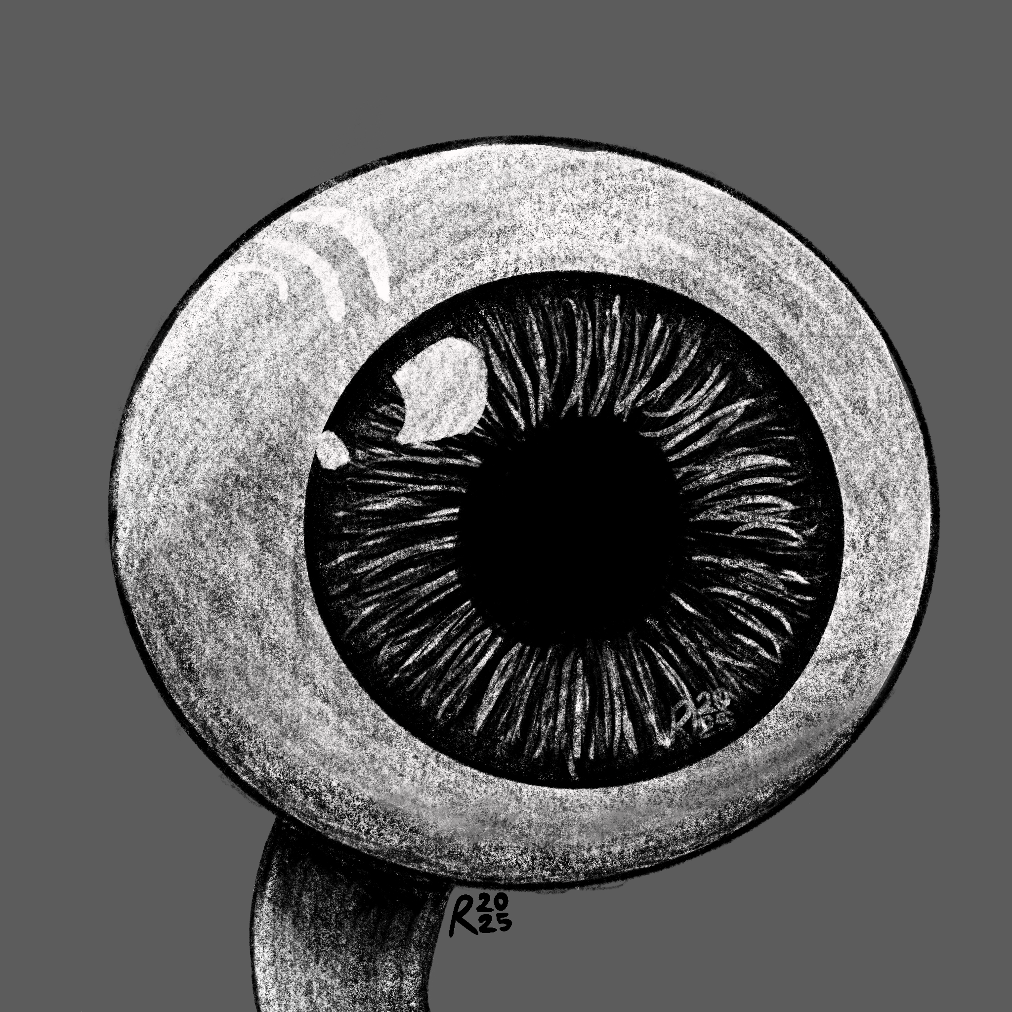 Large Eye Stem Drawing
