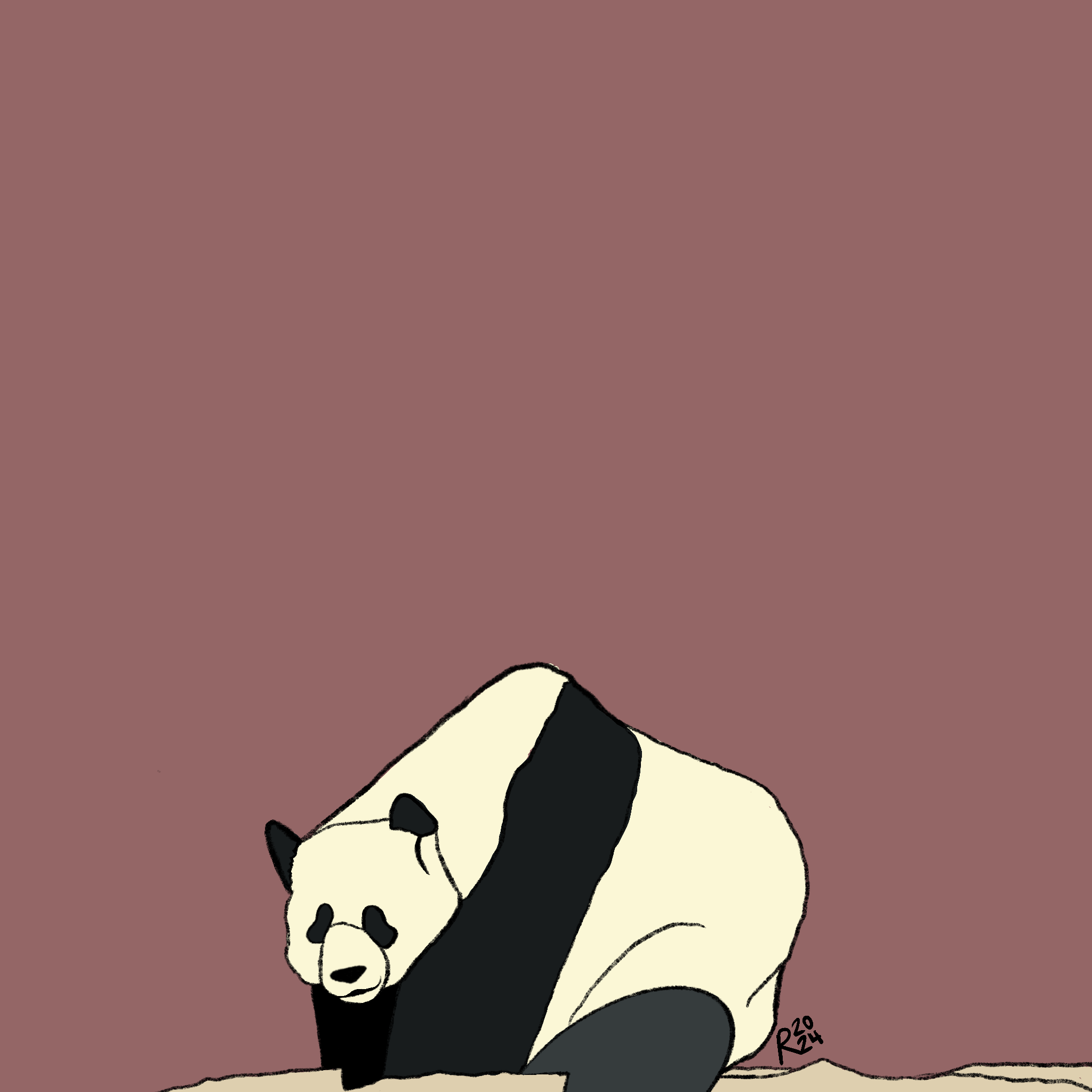 Panda Drawing
