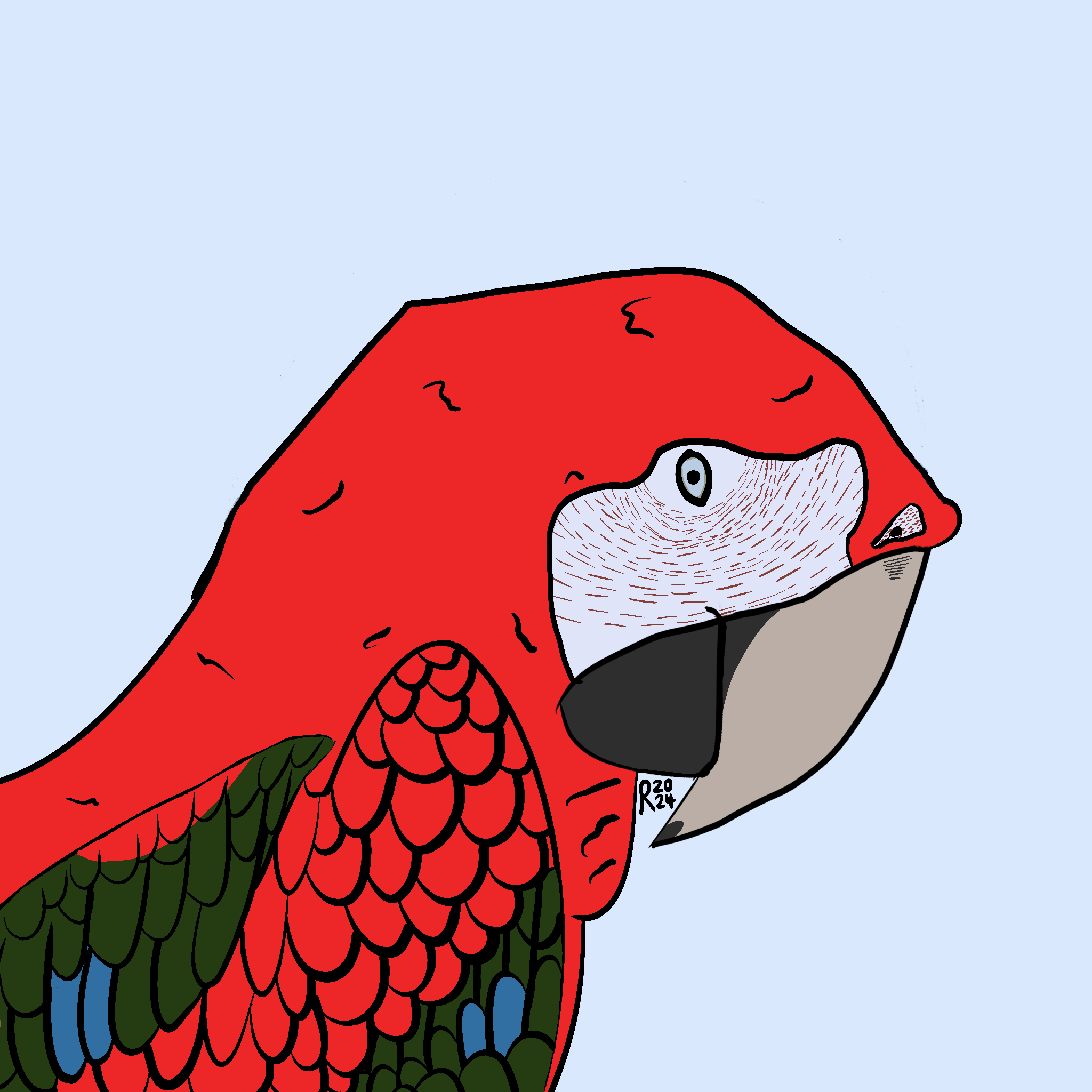 Parrot Drawing