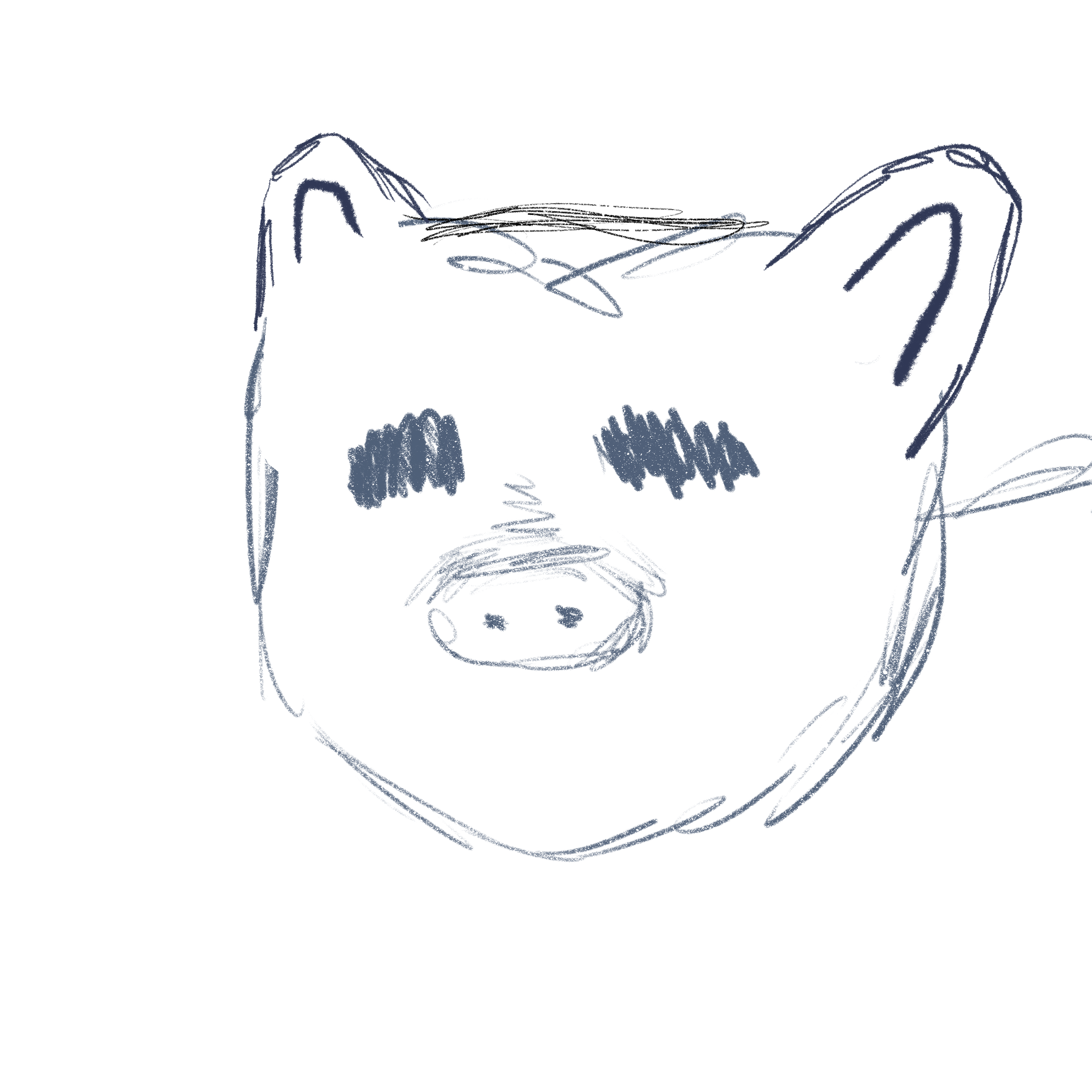 pig rough sketch